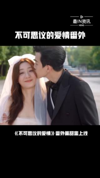 中药提速多功能治疗仪