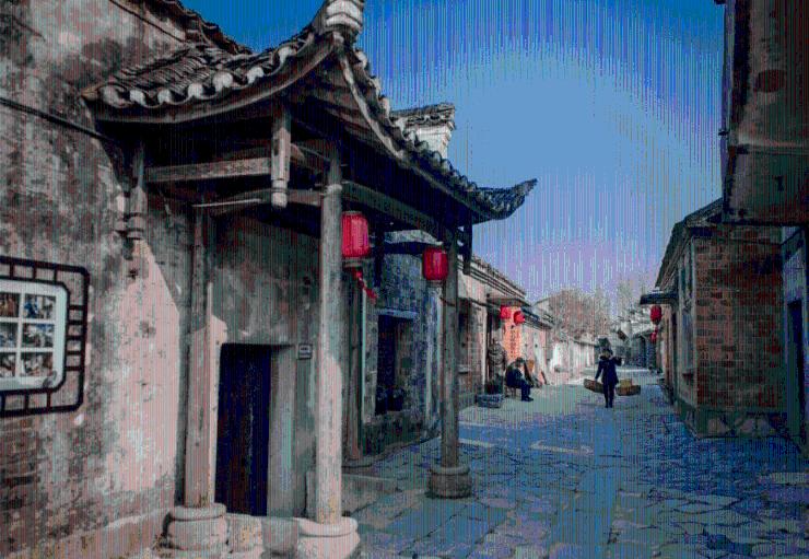 救援小孔雀